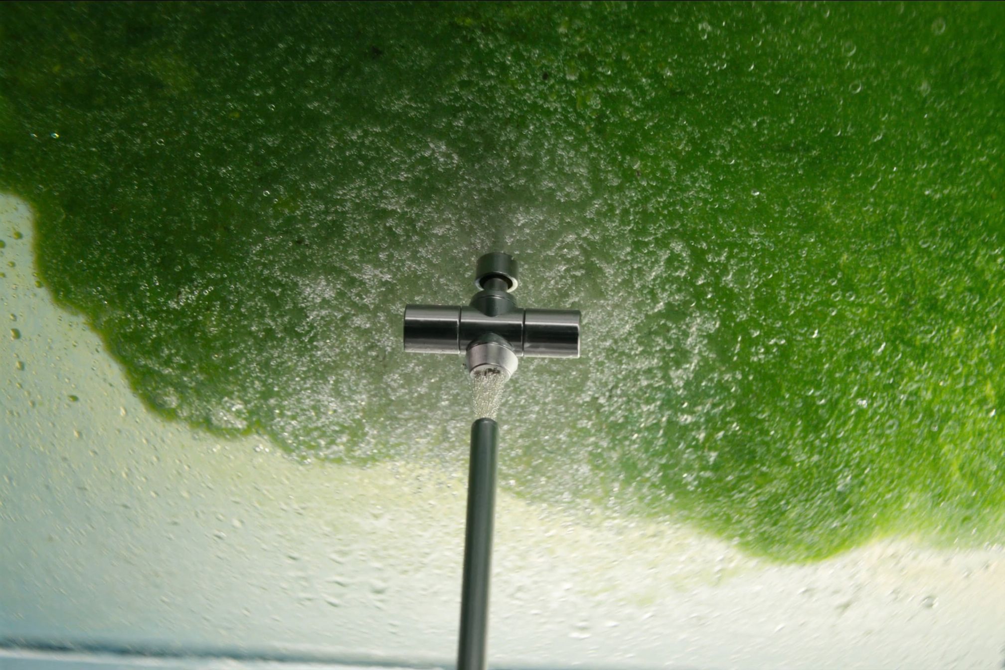 A stainless steel sparging nozzle inside a cultivation vessel, releasing a plume of fine bubbles into dense green algae culture.