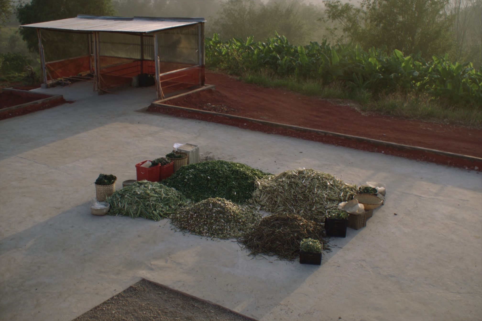 Separated heaps of banana stems, vegetable trimmings and dried crop residue laid out on a swept concrete yard beside woven baskets and crates, with an open-sided shed behind.