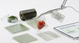 Translucent green-tinted biodegradable membrane sheets made from Cyvora algae polymers, fanned out to show their clarity and flexibility.