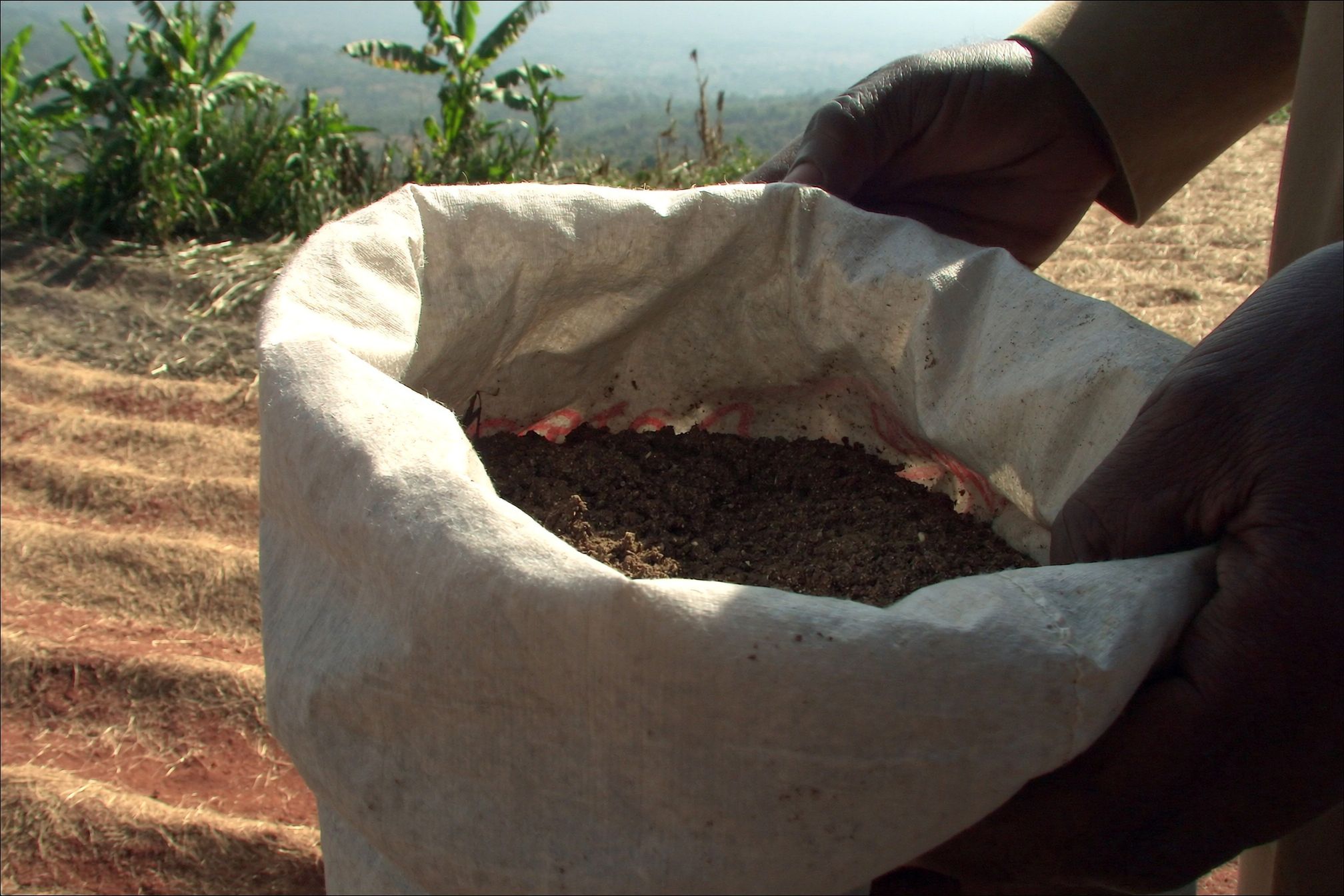 Two hands holding open a plain woven sack of dark, crumbly soil input at the edge of a field, with hills and haze behind.
